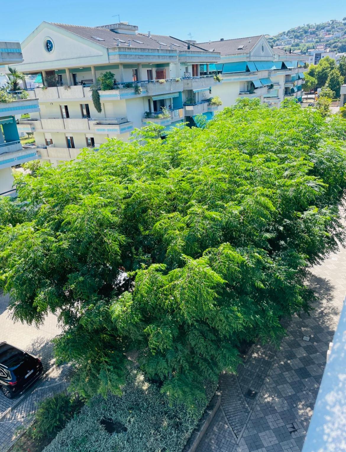 Attico Vista E Fronte Mare Zaffiroblu Con Posto Auto Daire Montesilvano Marina Dış mekan fotoğraf